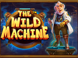 وائلڈ مشین game thumbnail